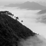Ridge with trees in misty valley